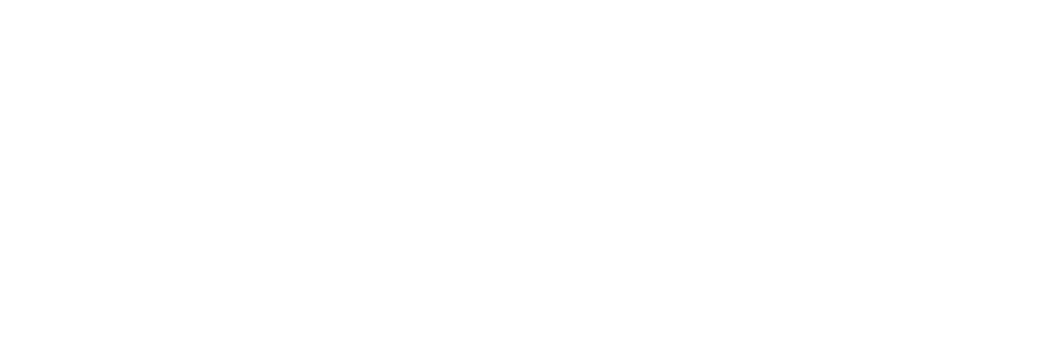 AI services Nederland
